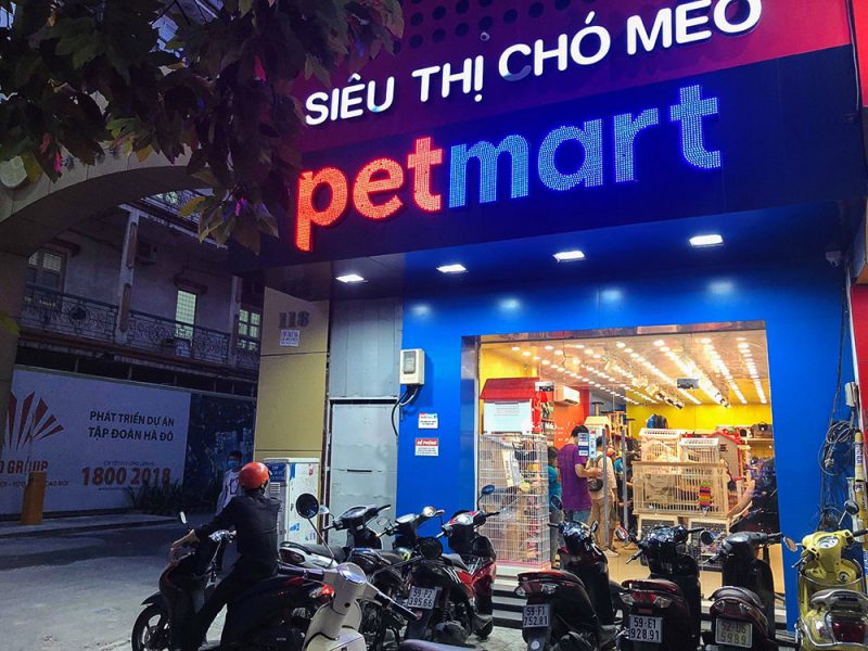 dịch vụ chăm sóc thú cưng Hà Nội