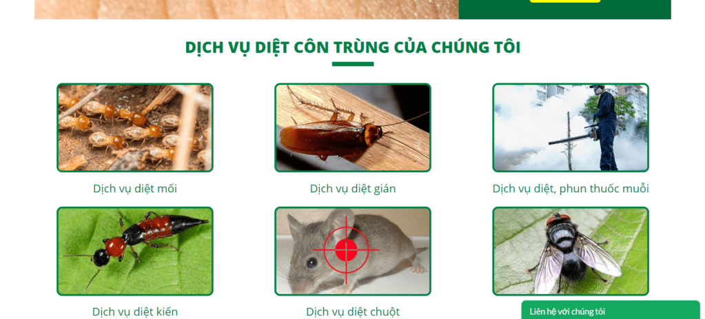 Dịch vụ diệt chuột Hà Nội