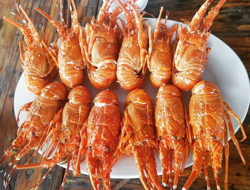 địa điểm ăn hải sản ngon ở Quy Nhơn