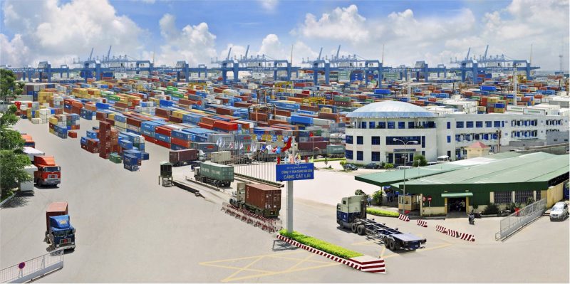 Lý do chọn dịch vụ mua hộ nho mẫu đơn Shine Muscat ở Hàn Quốc của Bình Dương Logistics