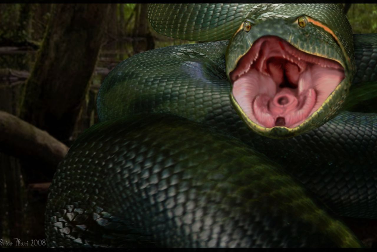 Mơ thấy rắn khổng lồ