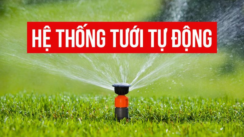 Hệ thống tưới Hải Phòng