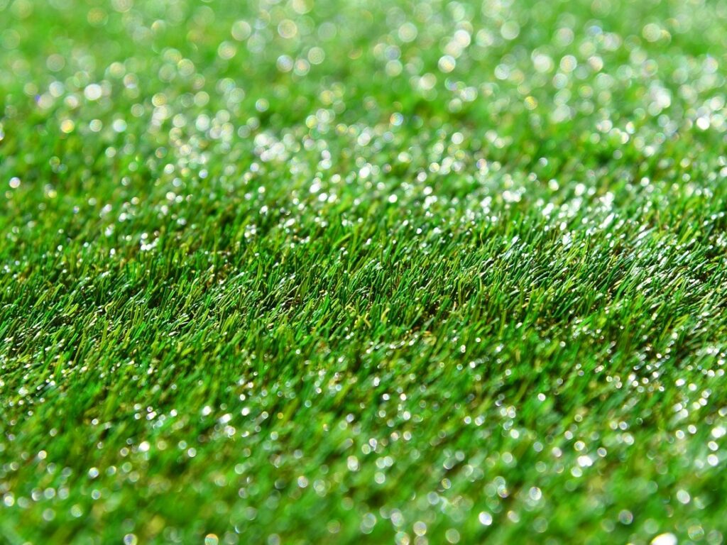 thảm cỏ nhân tạo Hà Nội
