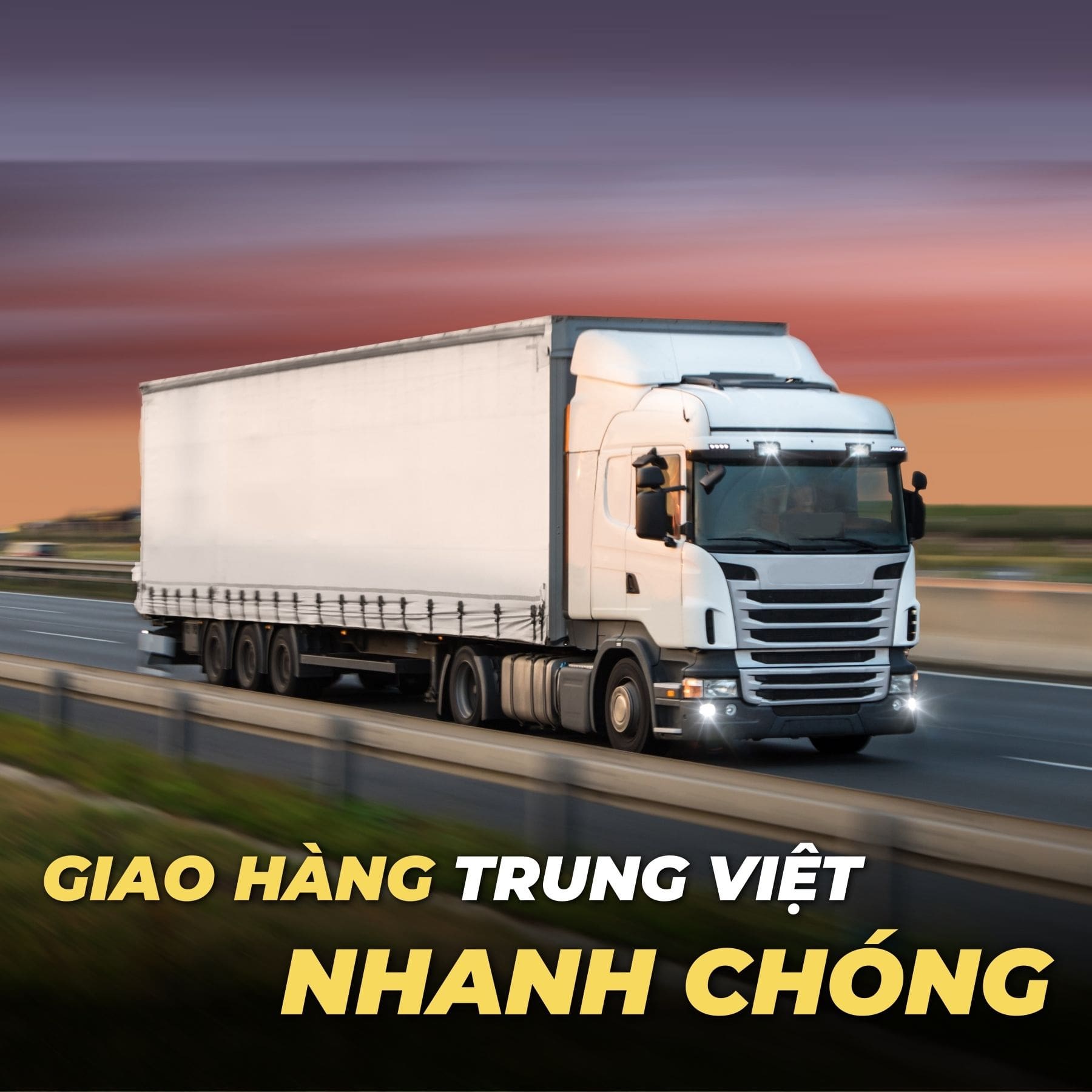 Báo Đen Logistic