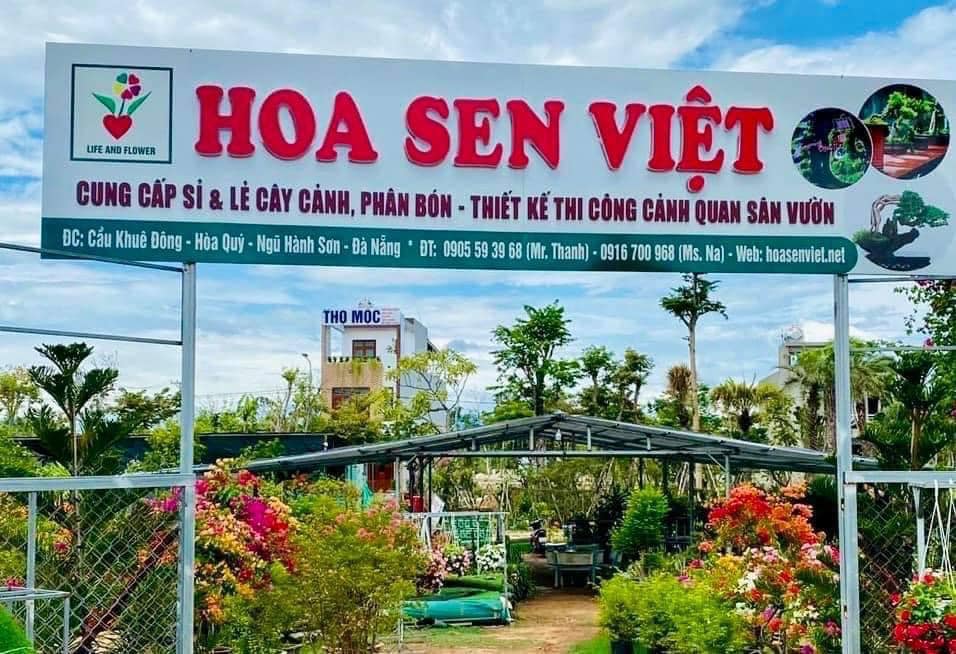 Hoa Sen Việt