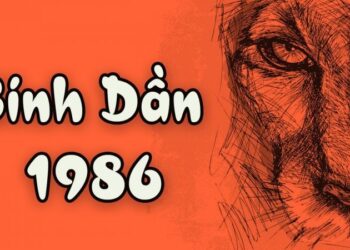 Cách Chọn Vòng Phong Thủy Tuổi Bính Dần 1986 Đúng Mệnh