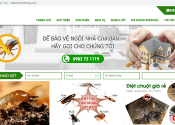 Dịch vụ diệt chuột Sài Gòn