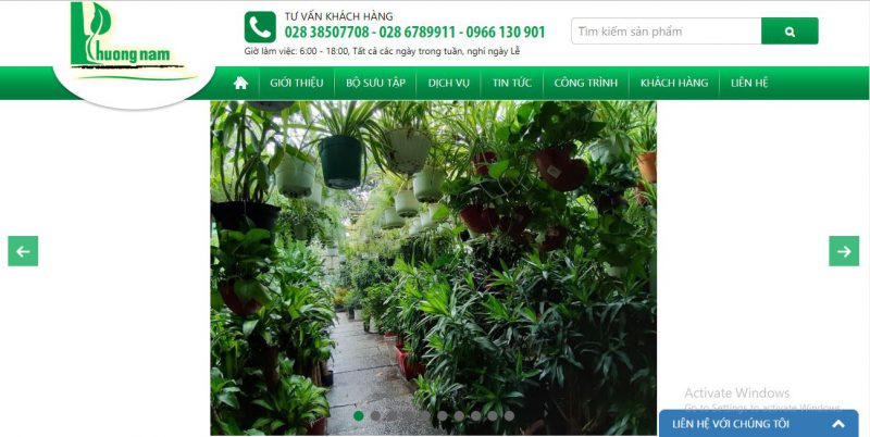 cây xanh trang trí Sài Gòn Phương Nam