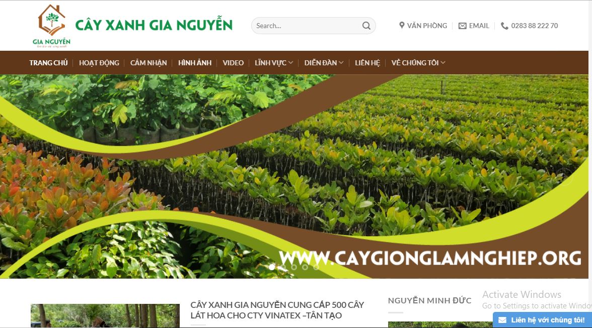 cây xanh trang trí Sài Gòn Gia Nguyễn