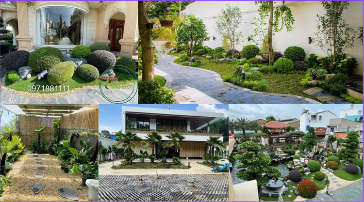 cây xanh trang trí Sài Gòn cây xanh trang trí Sài Gòn