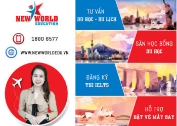 Điểm Danh TOP 14 Công Ty Tư Vấn Du Học Đà Nẵng Đáng Tin Cậy