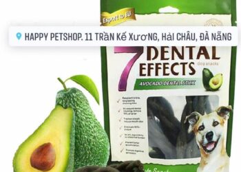 thức ăn chó mèo ở Đà Nẵng