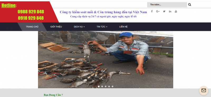 diệt chuột Hà Nội