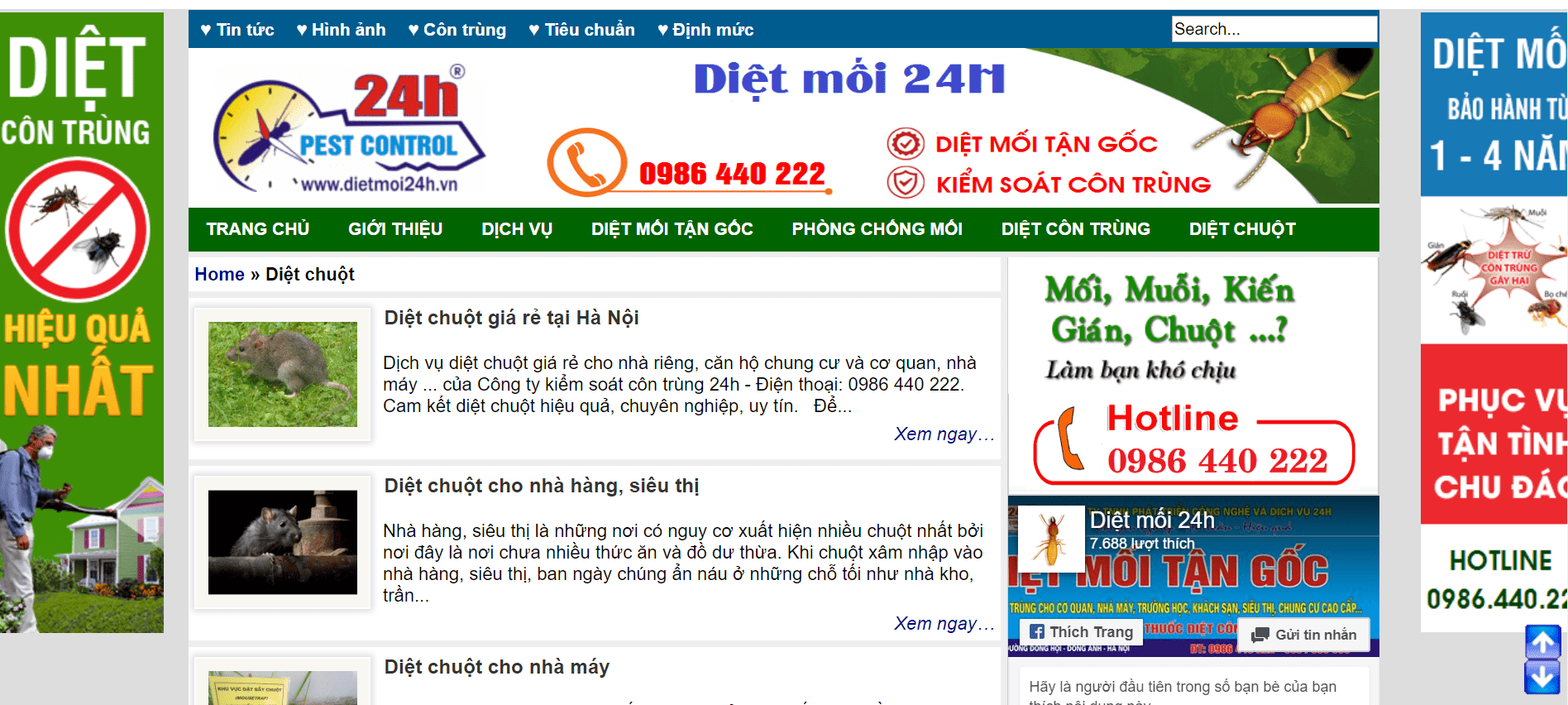 diệt chuột Hà Nội