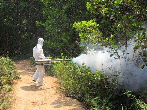 dịch vụ phun muỗi hà nội Đại Việt