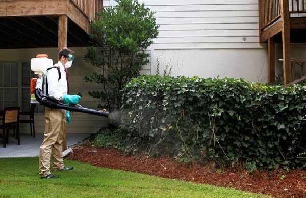 dịch vụ phun muỗi hà nội 24h Pest Control