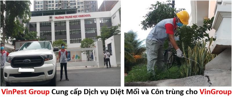 dịch vụ phun muỗi Hà Nội Công Ty Cổ Phần Tập Đoàn VINPEST