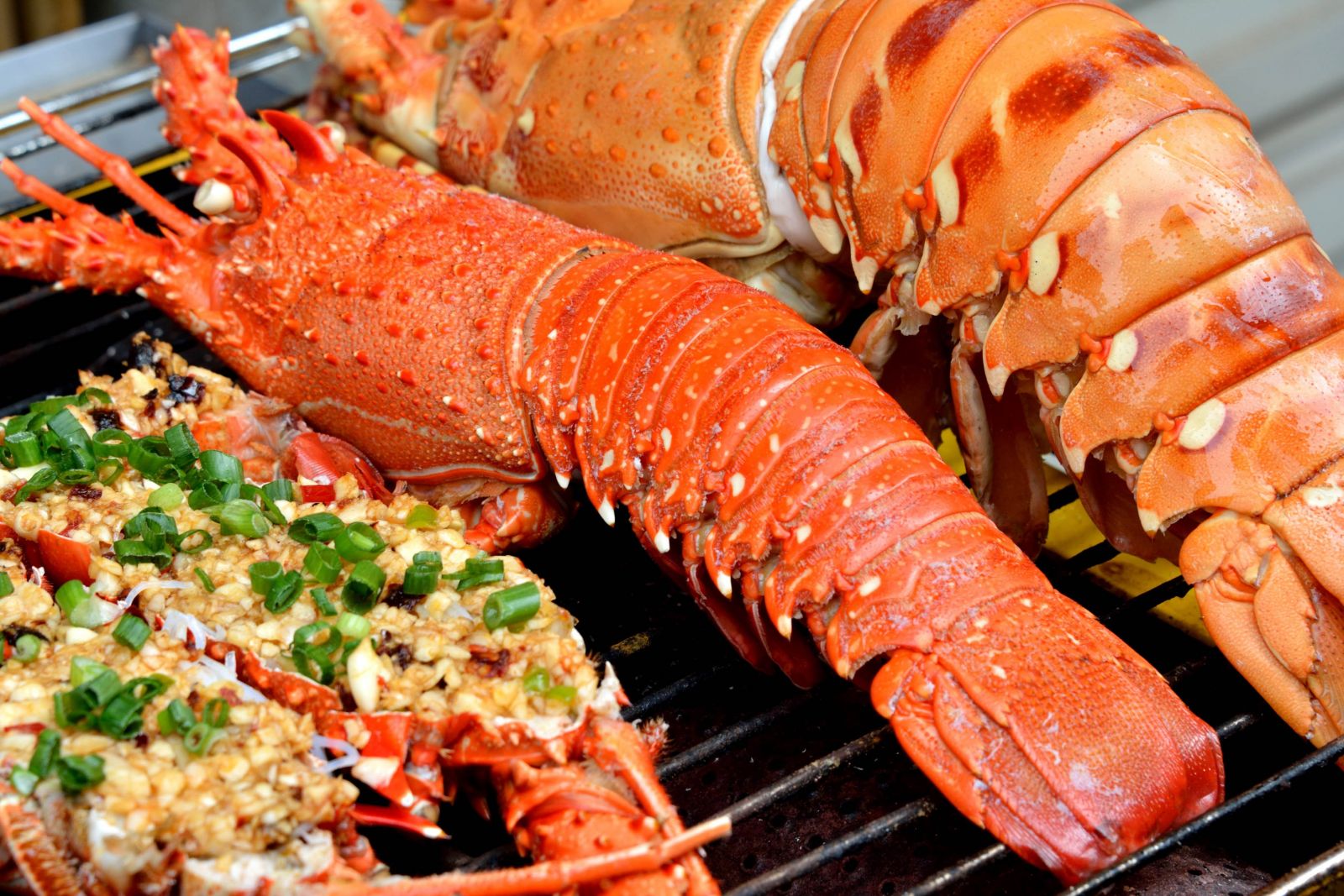 hải sản Lý Sơn