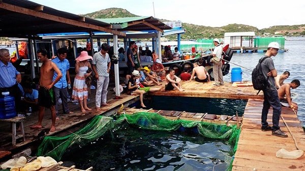 hải sản Nha Trang 
