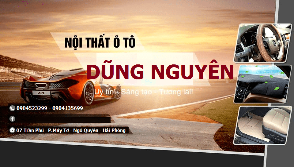 nội thất ô tô dũng nguyên