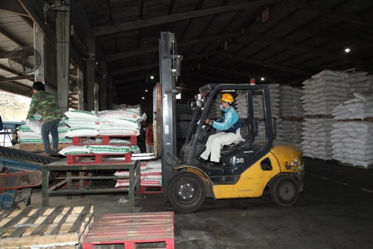 thuê xe nâng hà nội
