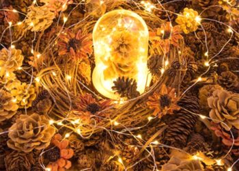 cửa hàng đèn dây Hà Nội