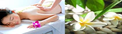 thẩm mỹ viện Hà Nội Đồng Cỏ Thiên Y