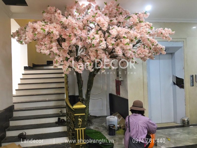 Cây xanh trang trí Hà Nội Cây xanh trang trí Hà Nội