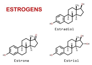 estrogen