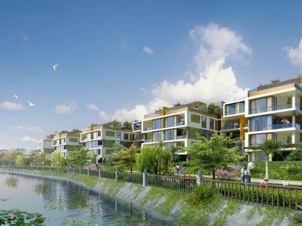 thi công tiểu cảnh