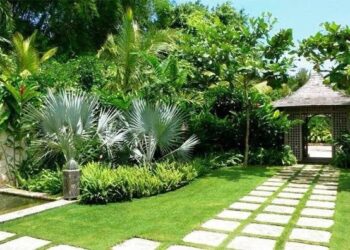 thi công tường cây xanh