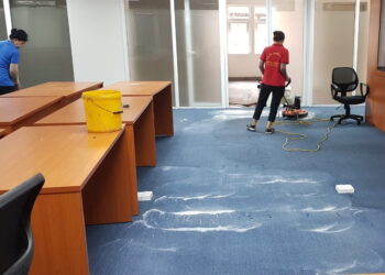 Royal Clean – Dịch Vụ Vệ Sinh Thảm Trải Sàn Chuyên Nghiệp