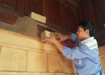 Xem Ngay Top 10 Cơ Sở Diệt Mối Đồng Nai Chất Lượng Không Nên Bỏ Qua