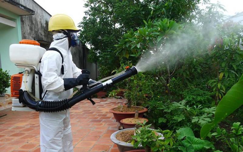 diệt mối tại Bình Dương uy tín