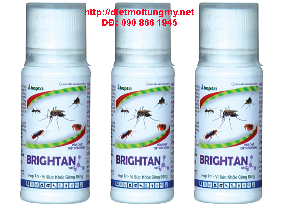 dịch vụ diệt mối tại Bình Dương
