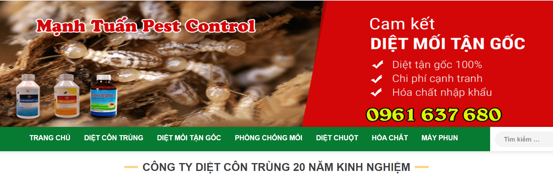 mạnh tuấn bình dương