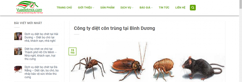 dịch vụ diệt mối tại Bình Dương