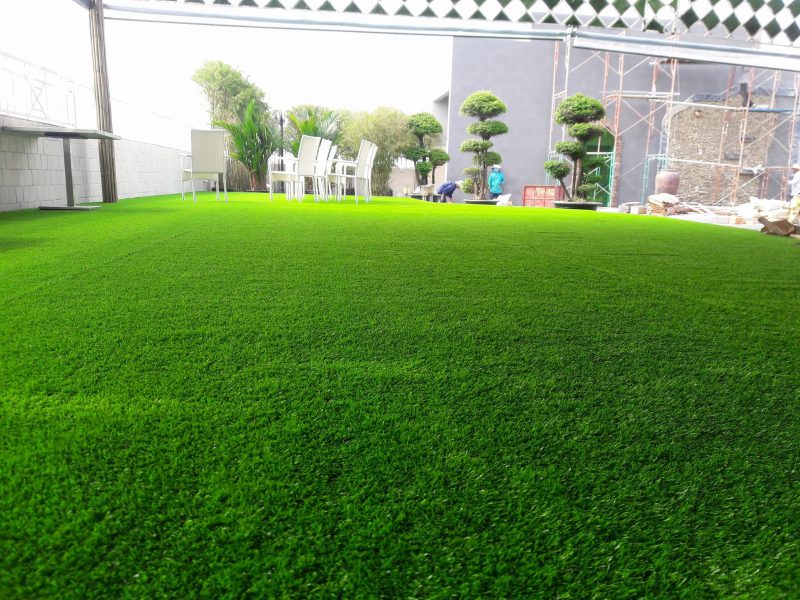 cỏ nhân tạo Bình Dương Công Ty DVN Việt Nam