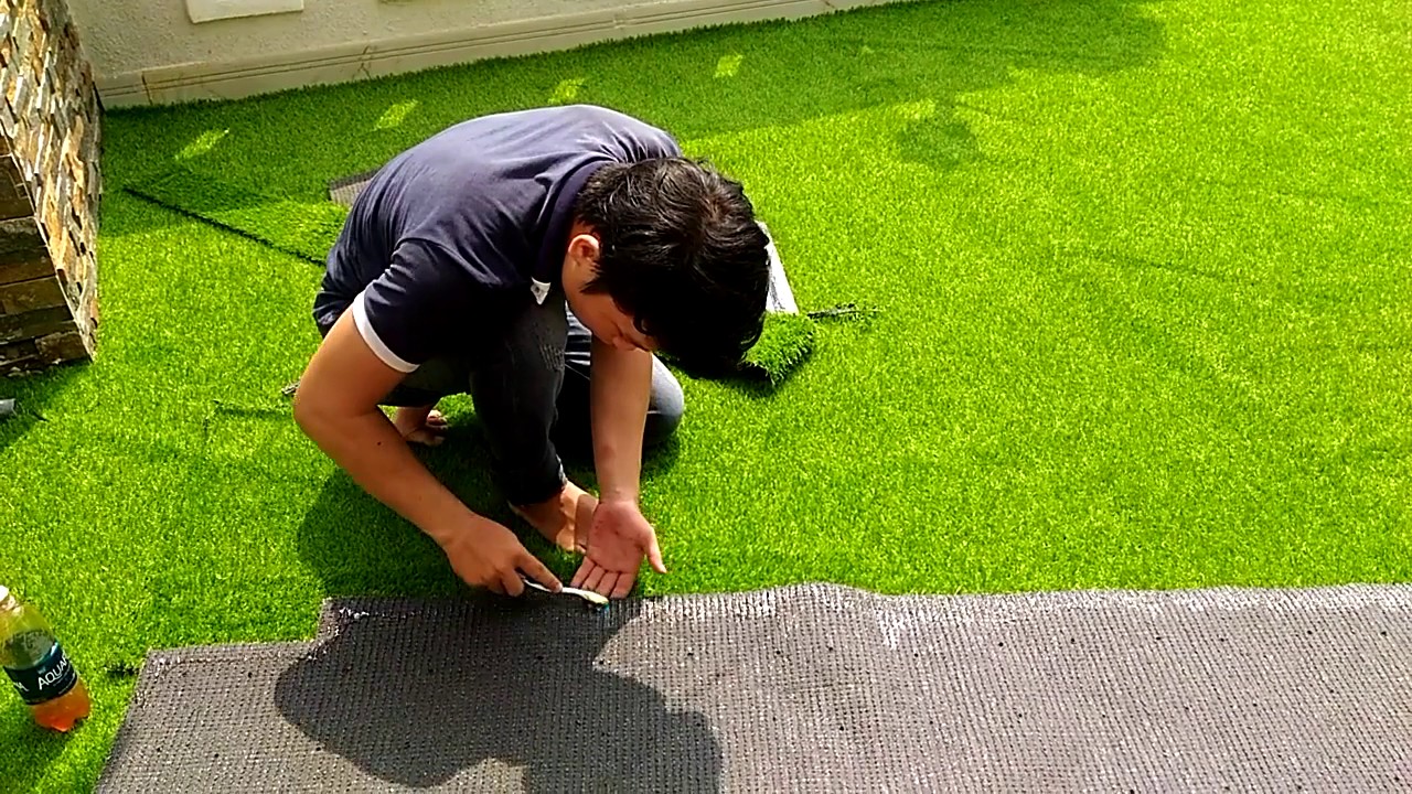 cỏ nhân tạo Bình Dương Cỏ Nhân Tạo Chí Hào