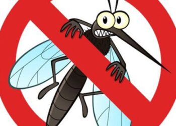 dich-vu-phun-muoi-binh-duong