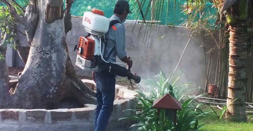 ddịch vụ phun muỗi bình dương