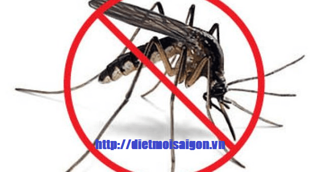 diệt côn trùng bình dương