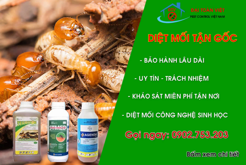 dịch vụ diệt mối tại Bình Dương
