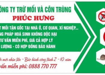 Bật Mí Top 10 Đơn Vị Diệt Mối Tại Hải Dương Uy Tín Nhất