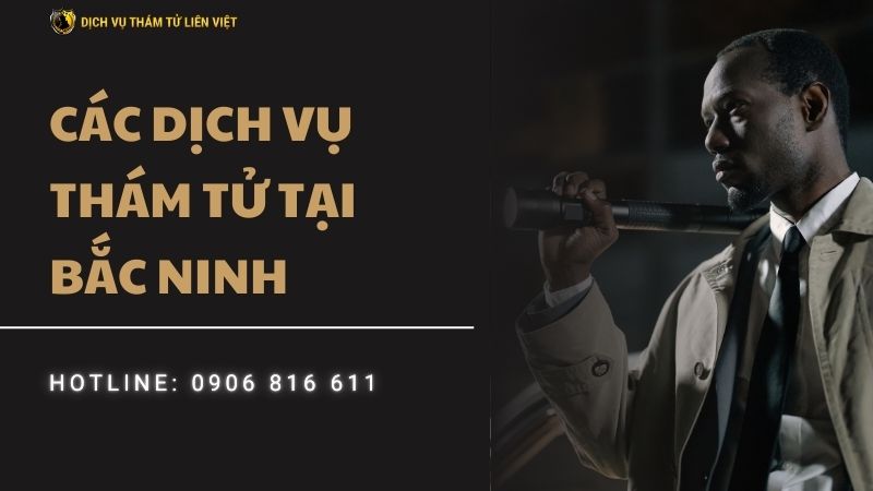 Thám Tử Liên Việt
