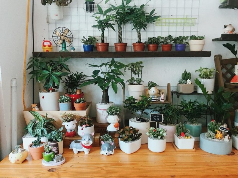 Cửa Hàng Danh Minh