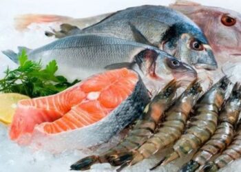 Thực phẩm đông lạnh TP HCM