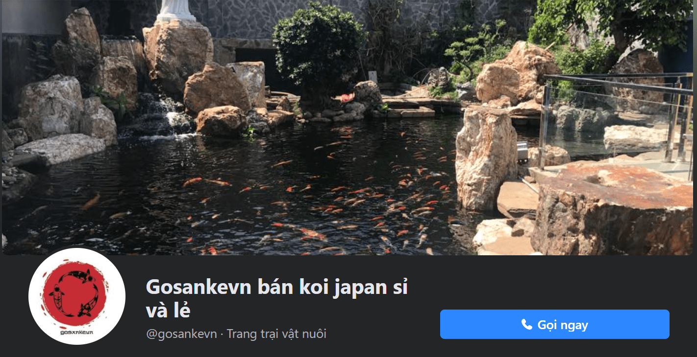 cá koi Biên Hòa Gosankevn