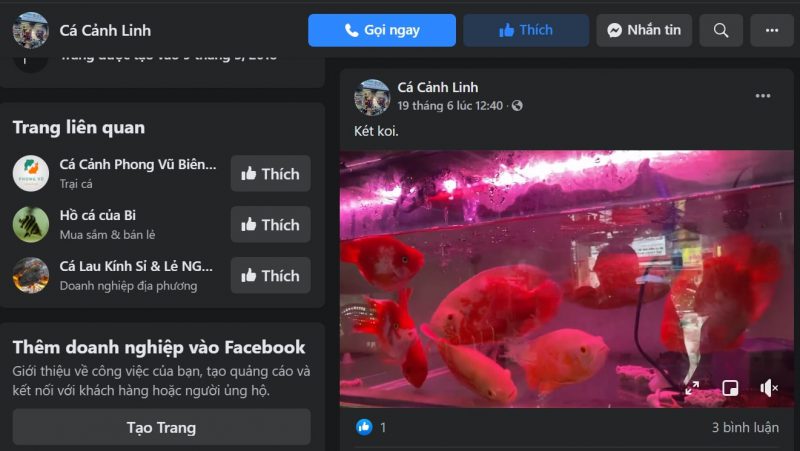 cá koi Biên Hòa Cảnh Linh