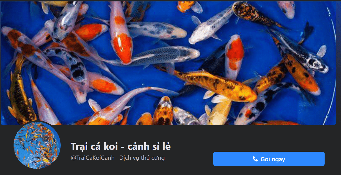 cá koi Biên Hòa Trại Cá Koi - Cảnh Sỉ Lẻ